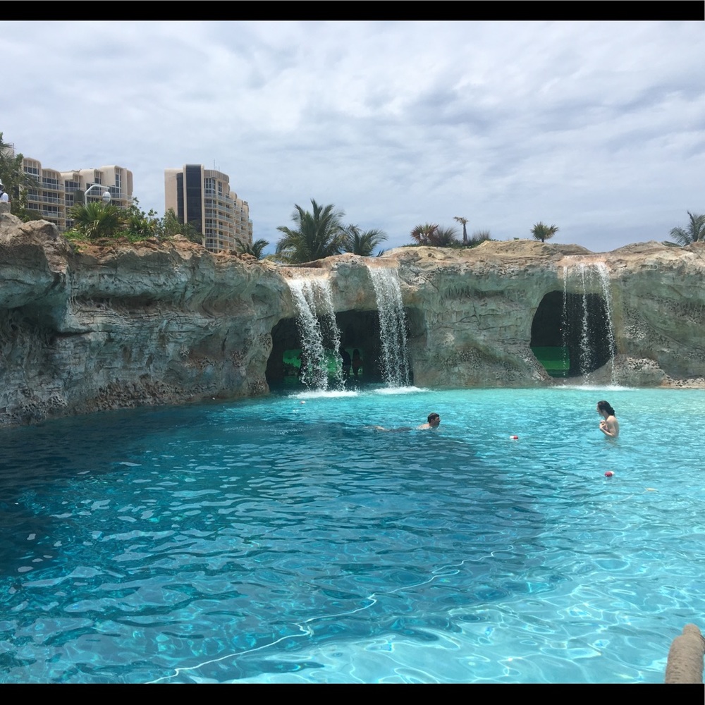 Meet your Posher, Bianca